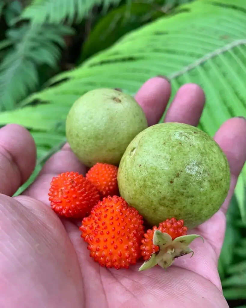 Lake Danao Southern Leyte