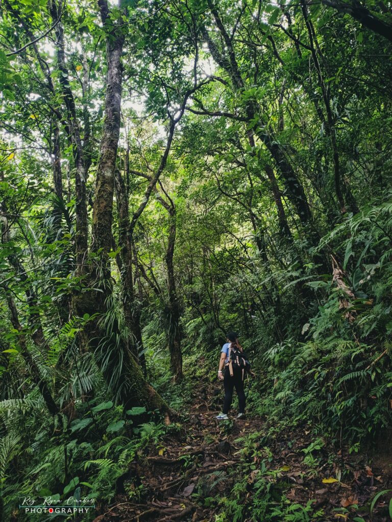 Mt Cabalian Lake Danao Philippines