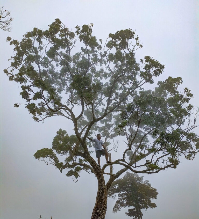 Mt Cabalian Lake Danao Philippines